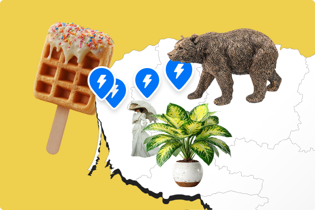 Koliažas iš Lietuvos žemėlapio, Ignitis ON pinų, meškos, kambarinio augalo, vaflio ant pagaliuko ir damos.