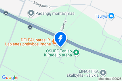 Palangos pl. 15, Vydmantų k.